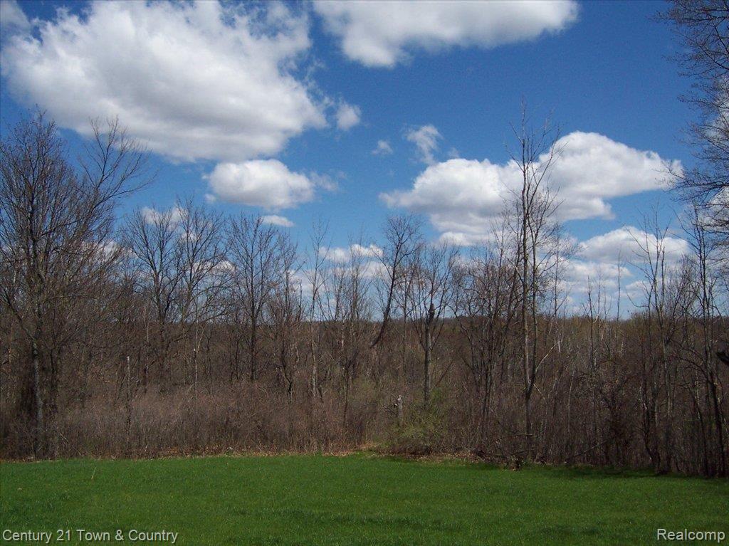 View from rear of home