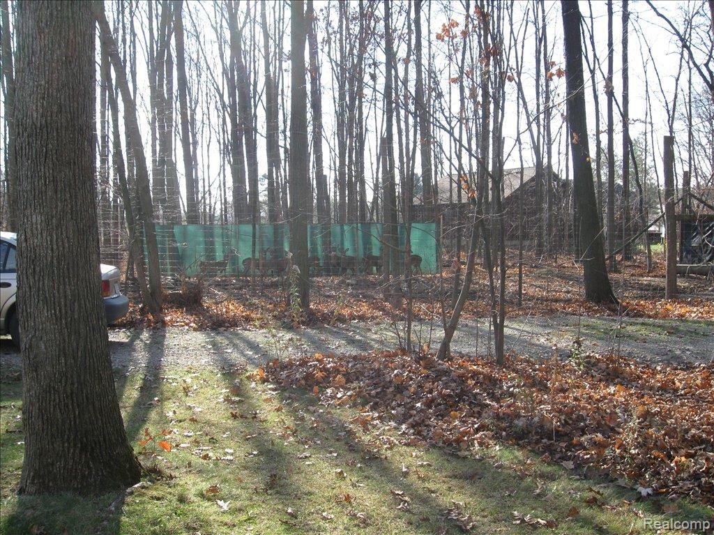 10344 Seymour Road Gaines, MI 48436 - Photo 5 of 5 IMG_0783
