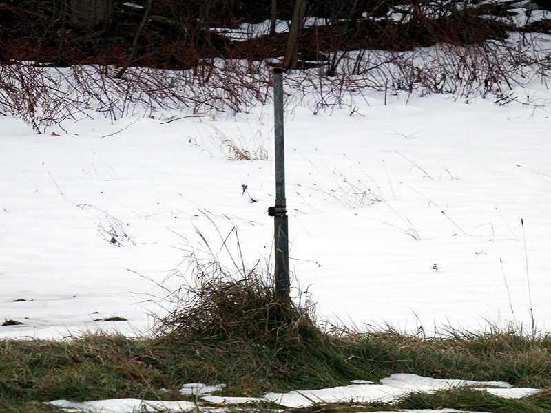 233 Moose Brook Road Houlton, ME 04730 - Photo 24 of 29 Land.