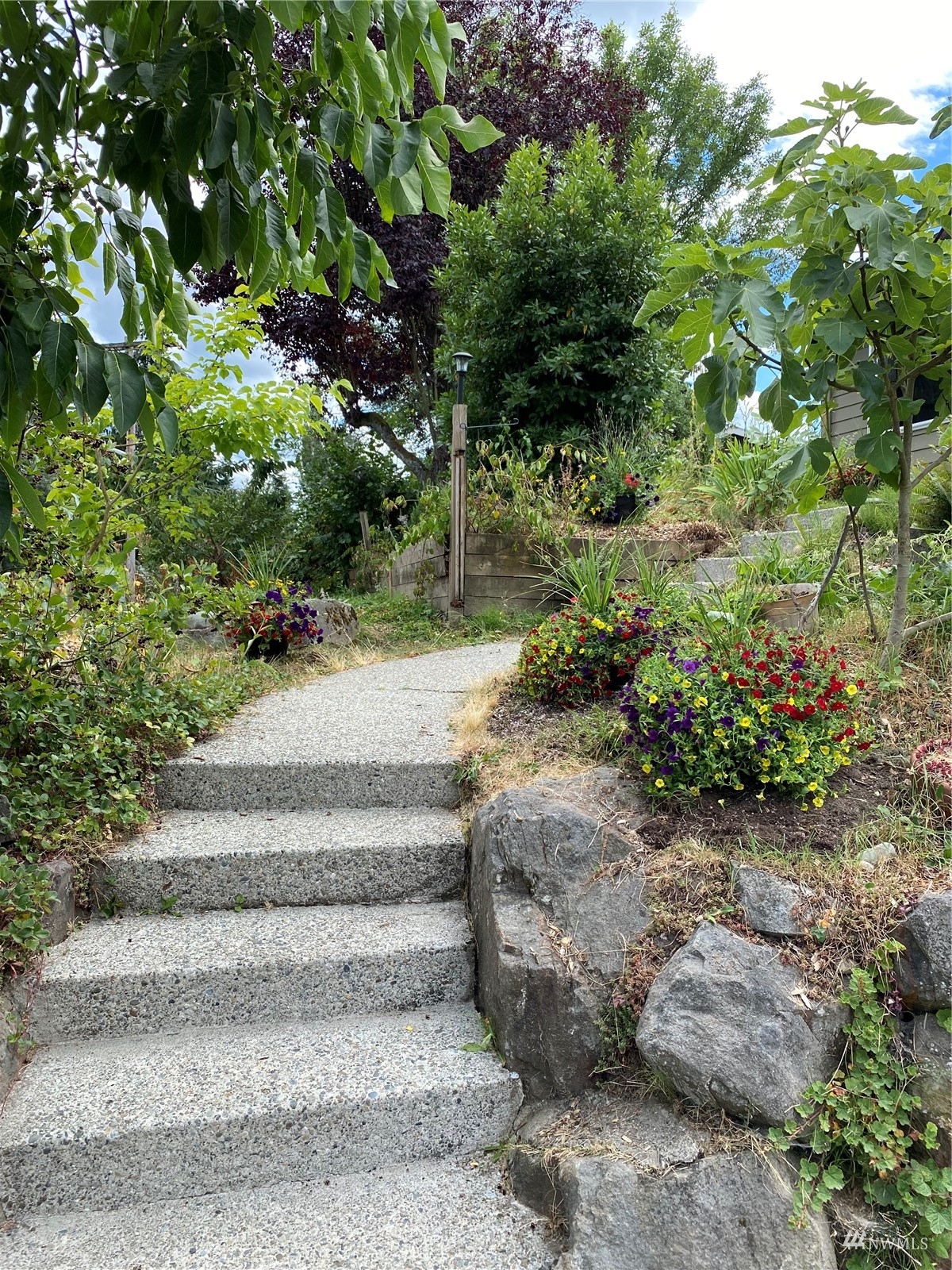 12011 Southeast 157th Place Renton, WA 98058 - Photo 3 of 40 a view of garden with pathway