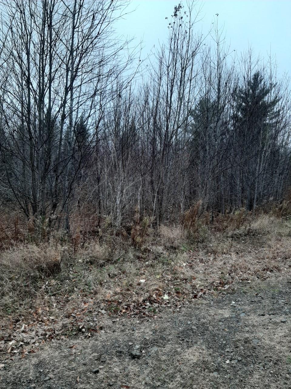 Lot E Meadow Brook Road Amity, ME 04471 - Photo 1 of 2 Meadow brook rd