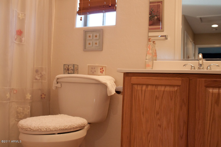 1901 East Del Rio Street Gilbert, AZ 85295 - Photo 18 of 26 Additional Bathroom