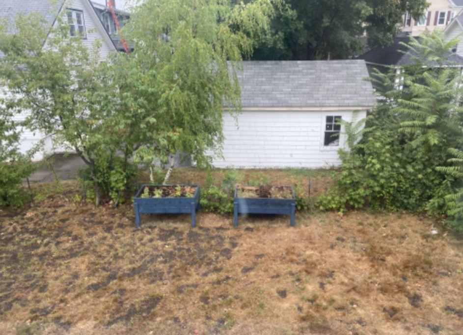 347 Vermont Street, Unit 2B Boston, MA 02132 - Photo 14 of 14 a view of a house with a yard and tree