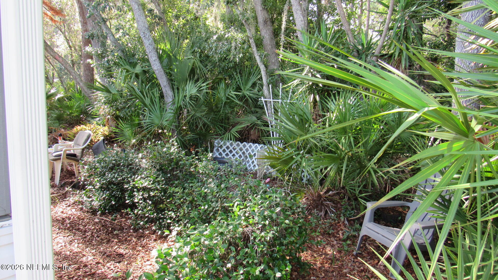 2103 Stacey Drive Mount Dora, FL 32757 - Photo 18 of 44 Cobb - Stacey Drive - exterior woods