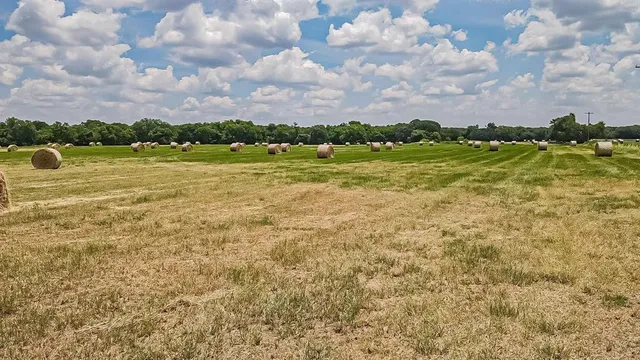 $693,000 | Tbd Gathings Avenue, Covington, TX 76636