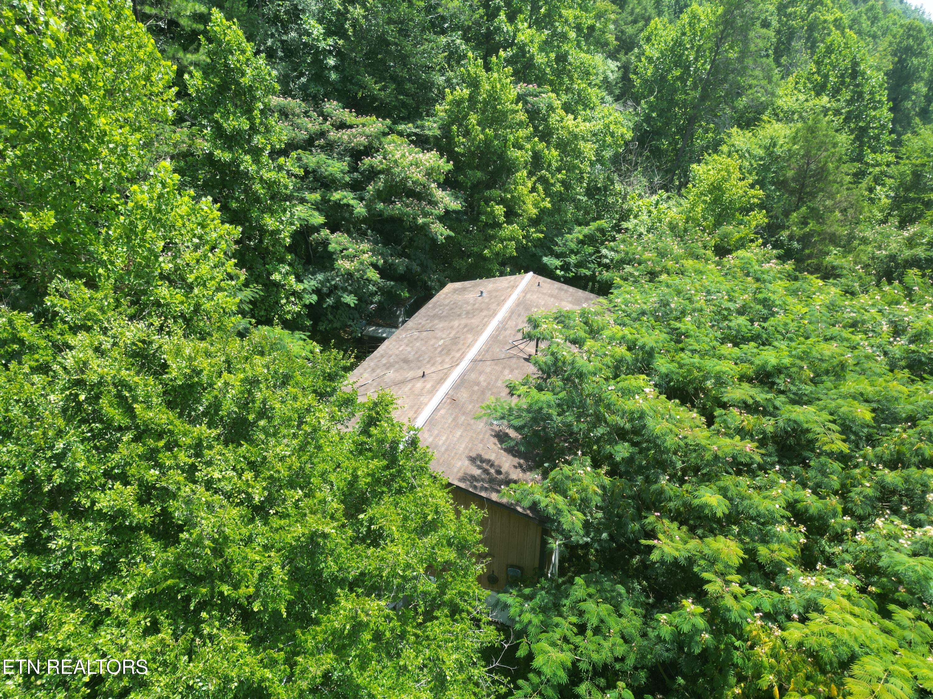 3576 Wilhite Road Pigeon Forge, TN 37876 - Photo 7 of 13 Wilhite 6