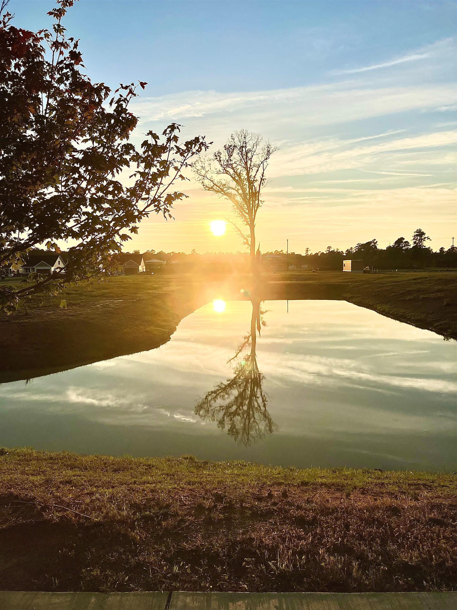 1028 Cherrystone Loop Conway, SC 29526 - Photo 39 of 39