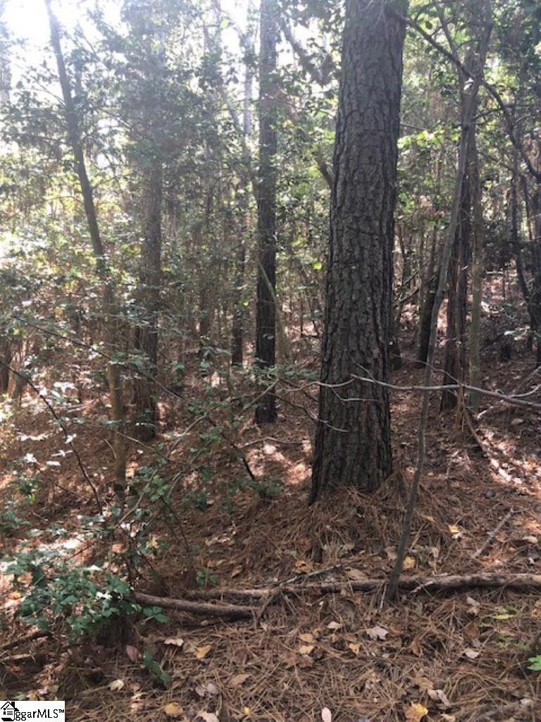 0 Ambler School Road Pickens, SC 29671 - Photo 6 of 19
