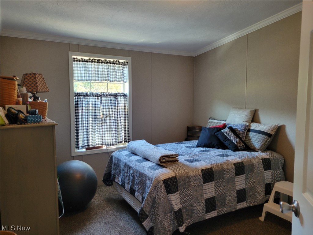 85645 Merryman Road Cadiz, OH 43907 - Photo 14 of 38 Bedroom with carpet flooring and crown molding