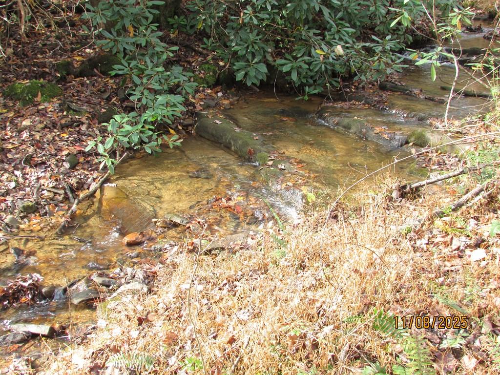 5 Wikle Road Hayesville, NC 28904 - Photo 1 of 17 Main View