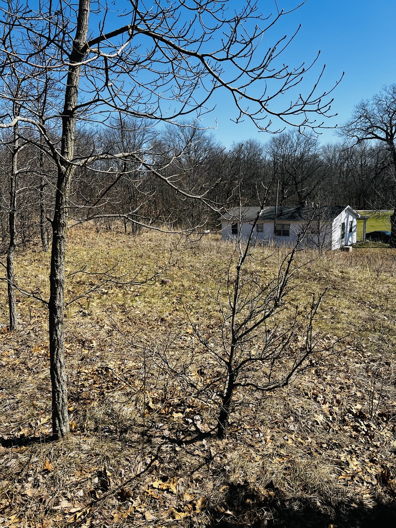 5266 South 12750E Road Pembroke Township, IL 60958 - Photo 14 of 17 a view of a yard with wooden fence