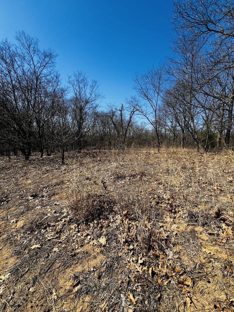5266 South 12750E Road Pembroke Township, IL 60958 - Photo 17 of 17 a view of a yard