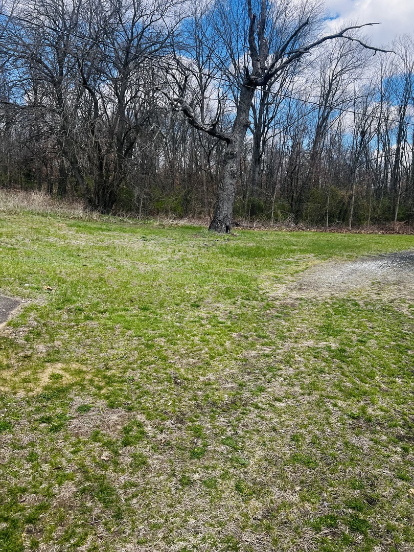 5266 South 12750E Road Pembroke Township, IL 60958 - Photo 4 of 17 a view of a yard with a tree