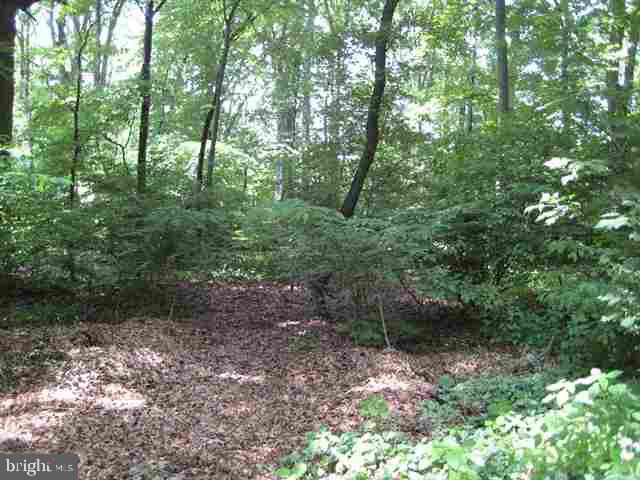 35 Hickory Road Carlisle, PA 17015 - Photo 1 of 6 Gallery Image 1