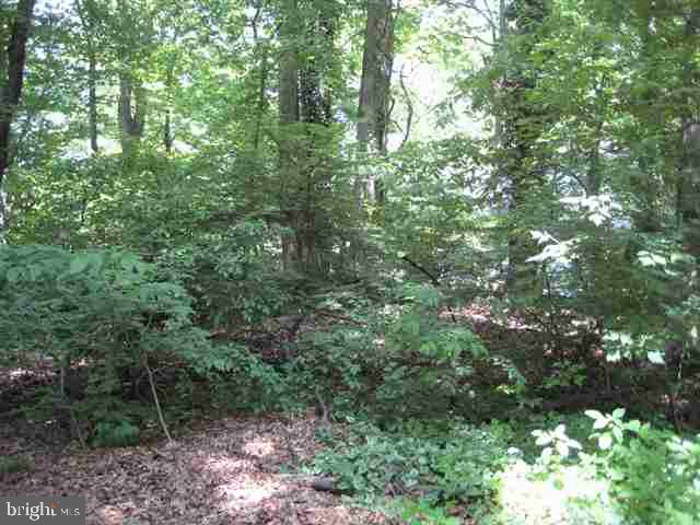 35 Hickory Road Carlisle, PA 17015 - Photo 3 of 6 Gallery Image 3