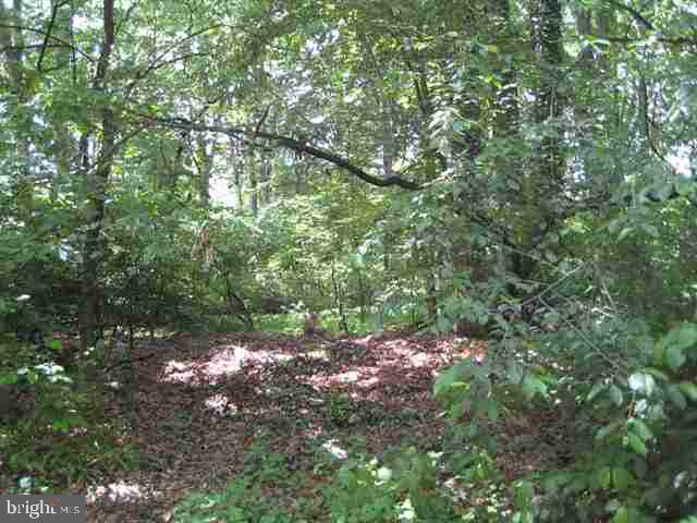 35 Hickory Road Carlisle, PA 17015 - Photo 5 of 6 Gallery Image 5