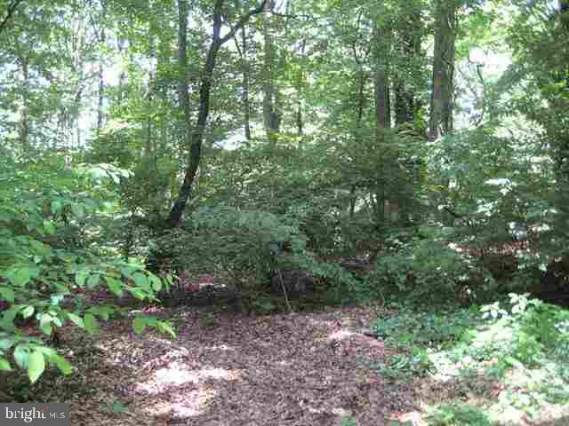 35 Hickory Road Carlisle, PA 17015 - Photo 6 of 6 Gallery Image 6