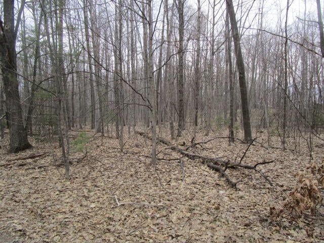 Parrotts Pointe Road Indian River, MI 49749 - Photo 3 of 4 Gallery Image 3