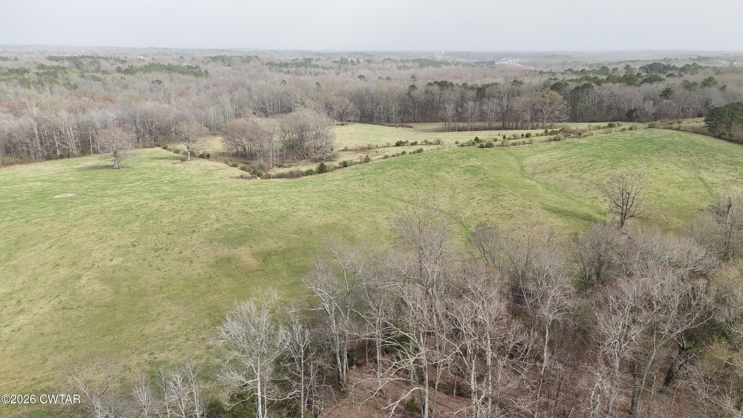 2 Brazil Bottom Road Lexington, TN 38351 - Photo 8 of 14 DJI_20250319162652_0421_D