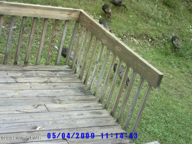 542 Fairmount Road Starrucca, PA 18462 - Photo 37 of 37 20190613170906882315000000-o