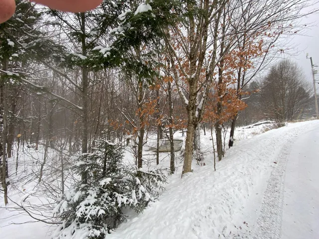 $75,000 | Lot 225 West Birch Lane, Beaver Cove, ME 04441