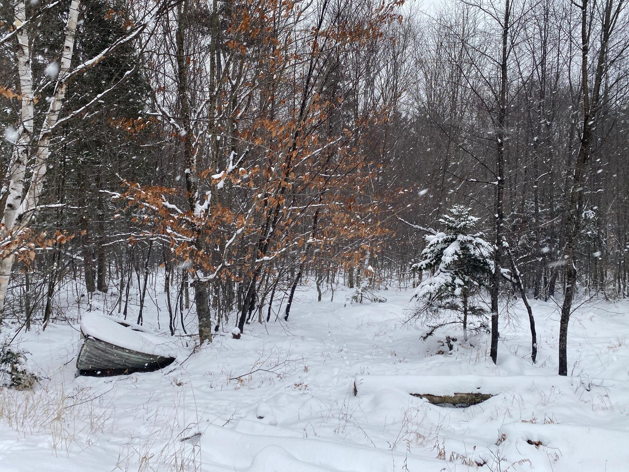 Lot 225 West Birch Lane Beaver Cove, ME 04441 - Photo 2 of 12 IMG_4617