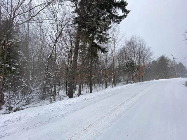 $75,000 | Lot 225 West Birch Lane, Beaver Cove, ME 04441