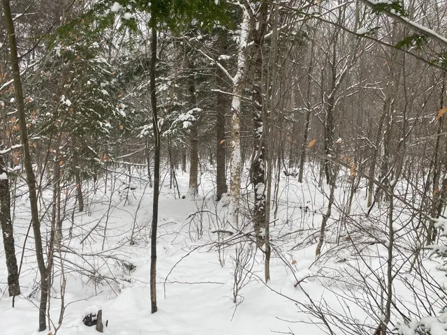 $75,000 | Lot 225 West Birch Lane, Beaver Cove, ME 04441