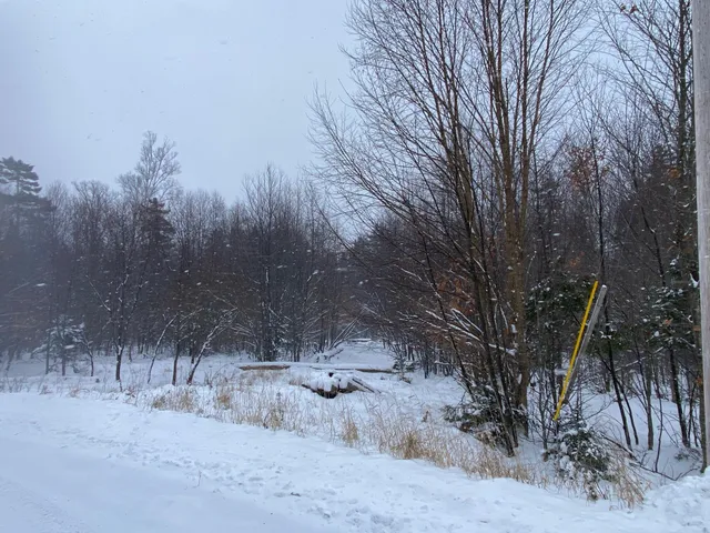 $75,000 | Lot 225 West Birch Lane, Beaver Cove, ME 04441