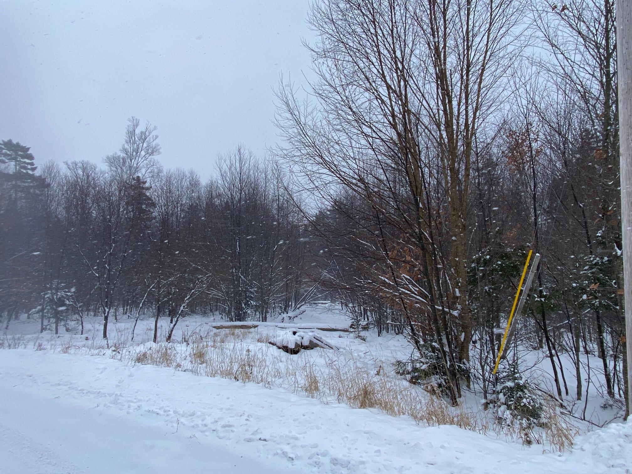 Lot 225 West Birch Lane Beaver Cove, ME 04441 - Photo 5 of 12 IMG_4613