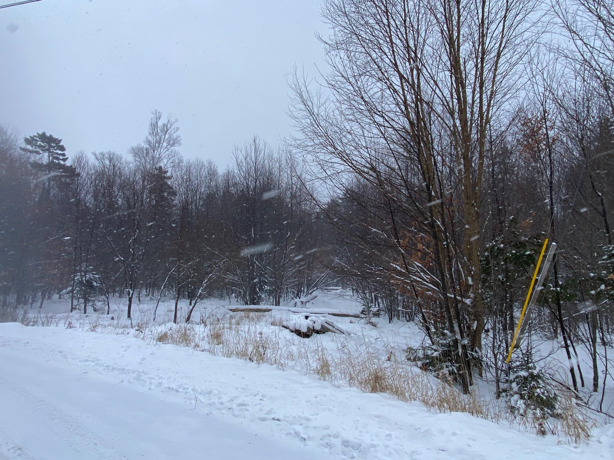 Lot 225 West Birch Lane Beaver Cove, ME 04441 - Photo 7 of 12 IMG_4614