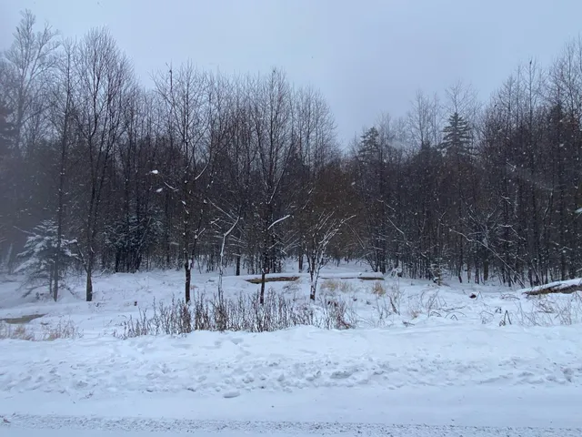 $75,000 | Lot 225 West Birch Lane, Beaver Cove, ME 04441