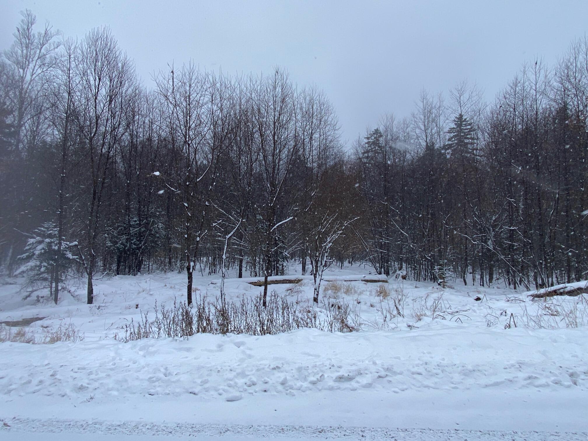 Lot 225 West Birch Lane Beaver Cove, ME 04441 - Photo 8 of 12 IMG_4612