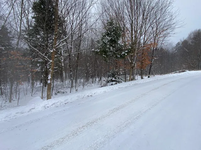 $75,000 | Lot 225 West Birch Lane, Beaver Cove, ME 04441