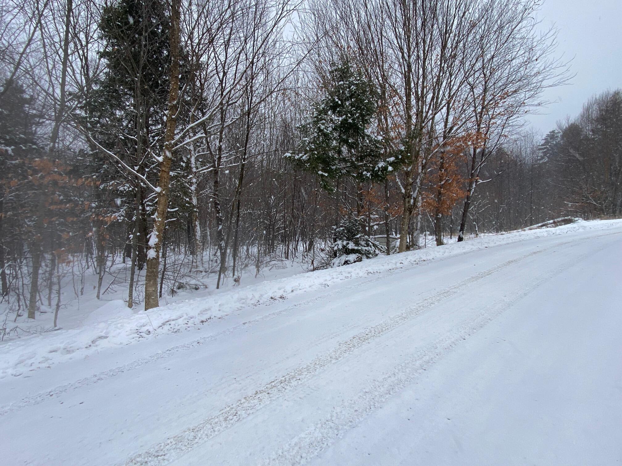 Lot 225 West Birch Lane Beaver Cove, ME 04441 - Photo 9 of 12 IMG_4611