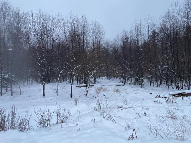 $75,000 | Lot 225 West Birch Lane, Beaver Cove, ME 04441