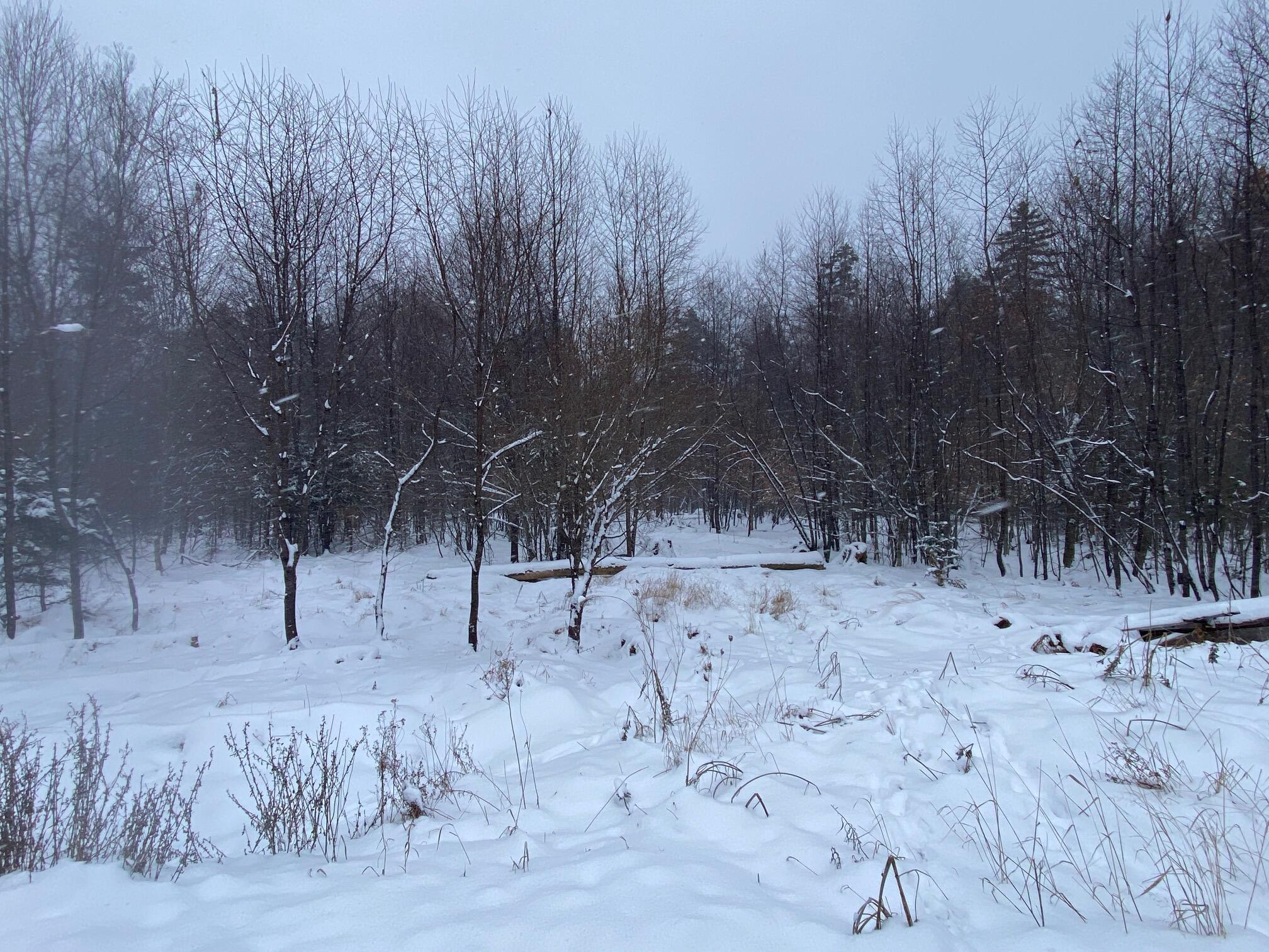 Lot 225 West Birch Lane Beaver Cove, ME 04441 - Photo 10 of 12 IMG_4616