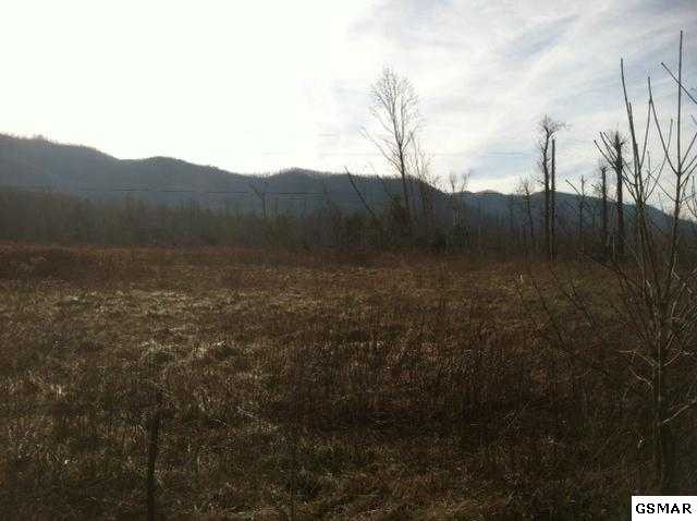 920 Dunham Road Chuckey, TN 37641 - Photo 1 of 1 Gallery Image 1