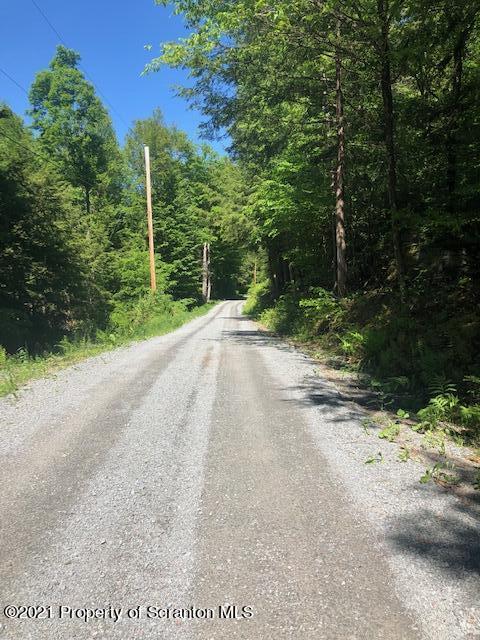 353 John Davis Road Beach Lake, PA 18405 - Photo 4 of 9 a view of a backyard of a house