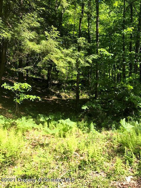 353 John Davis Road Beach Lake, PA 18405 - Photo 8 of 9