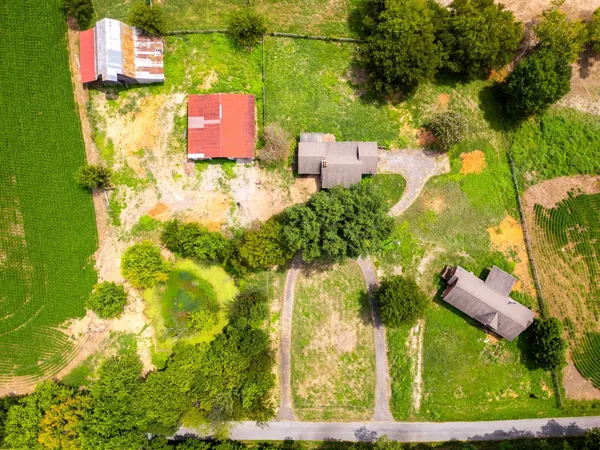 an aerial view of residential houses with yard