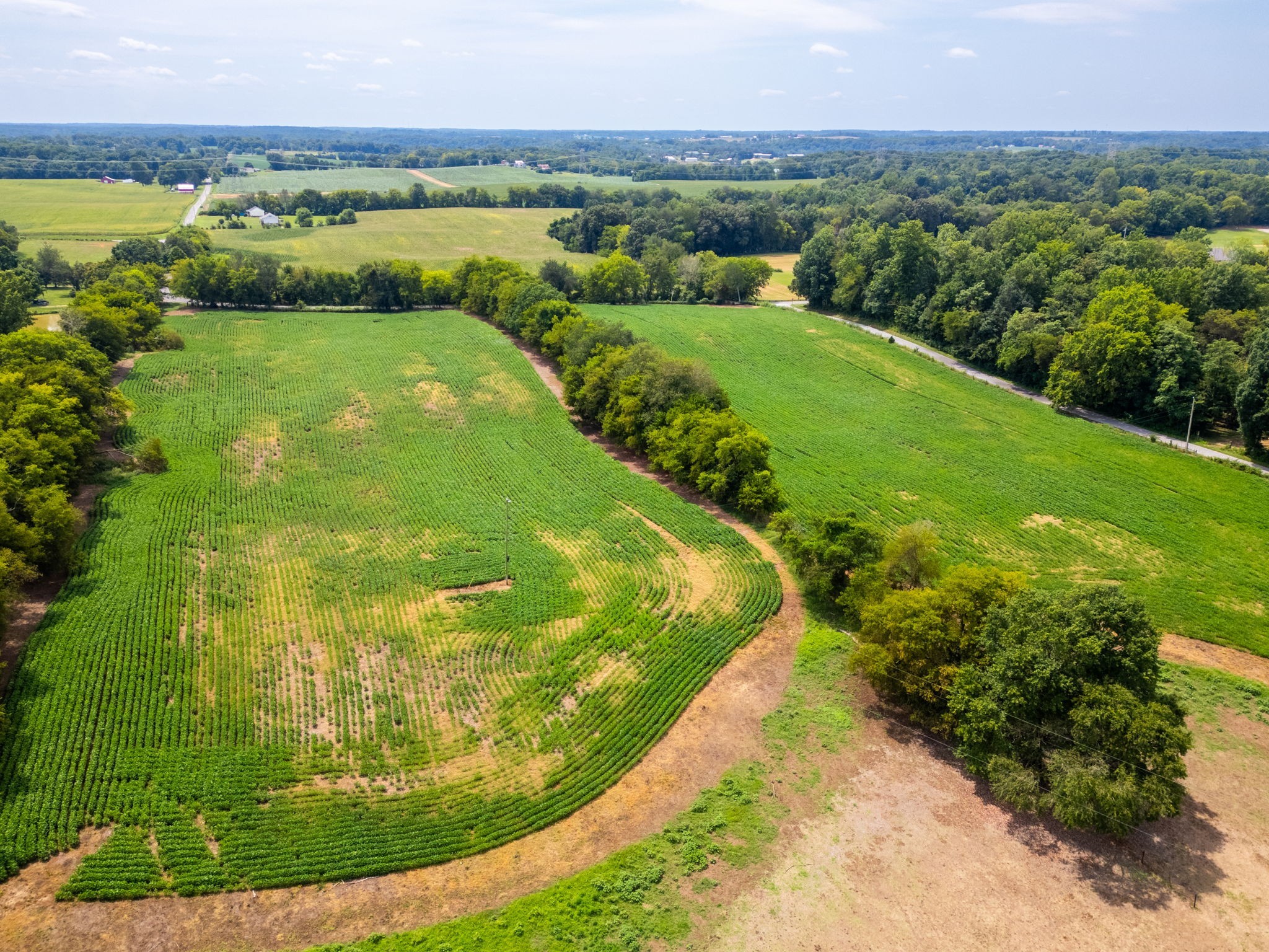 5016 Caney Sink Road Adams, TN 37010 - Photo 11 of 56