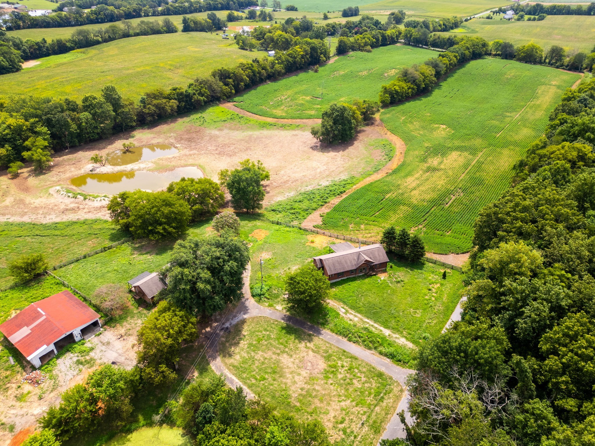 5016 Caney Sink Road Adams, TN 37010 - Photo 13 of 56