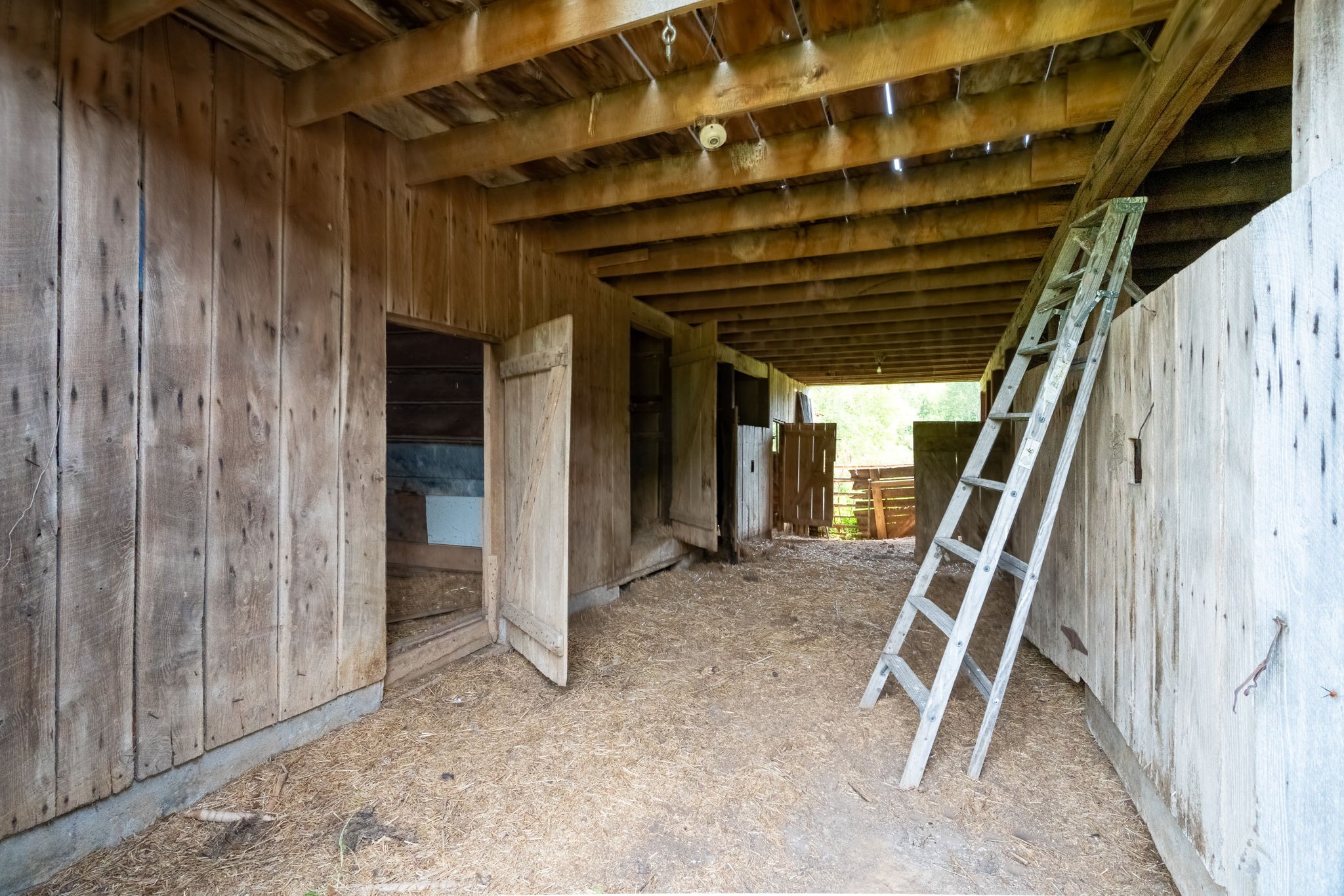 5016 Caney Sink Road Adams, TN 37010 - Photo 25 of 56