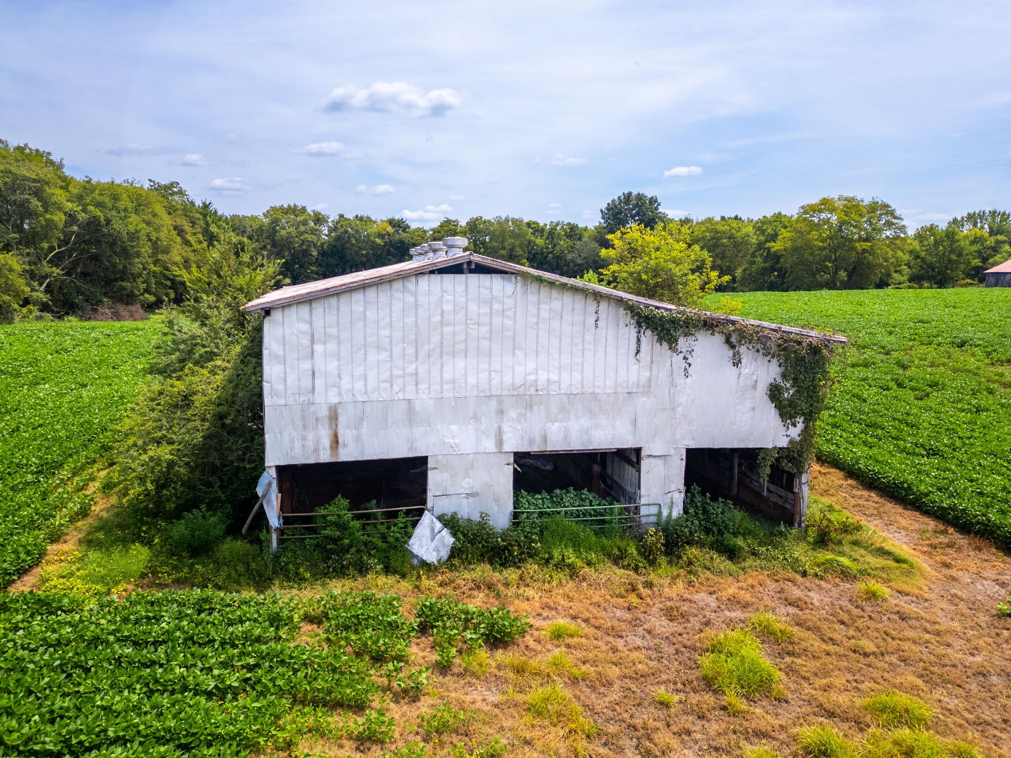 5016 Caney Sink Road Adams, TN 37010 - Photo 33 of 56