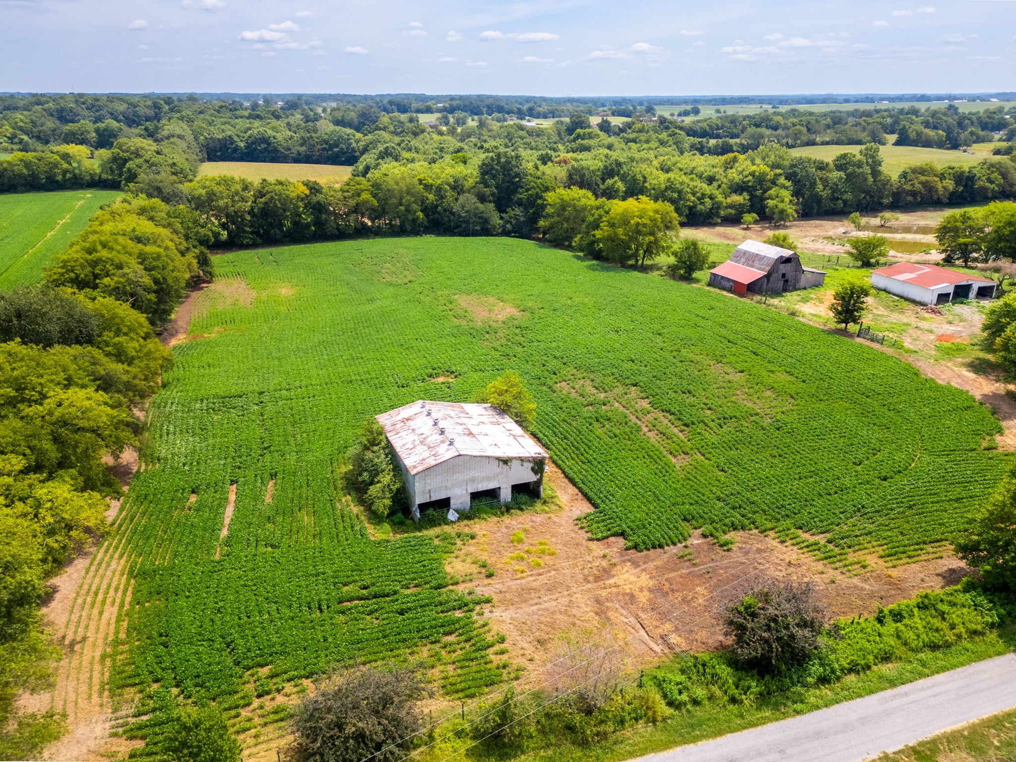 5016 Caney Sink Road Adams, TN 37010 - Photo 34 of 56