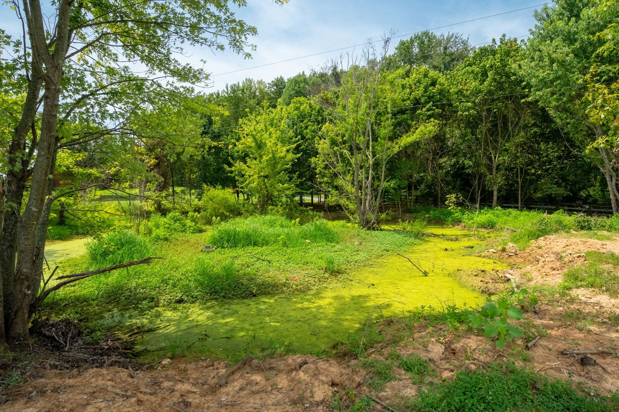 5016 Caney Sink Road Adams, TN 37010 - Photo 40 of 56