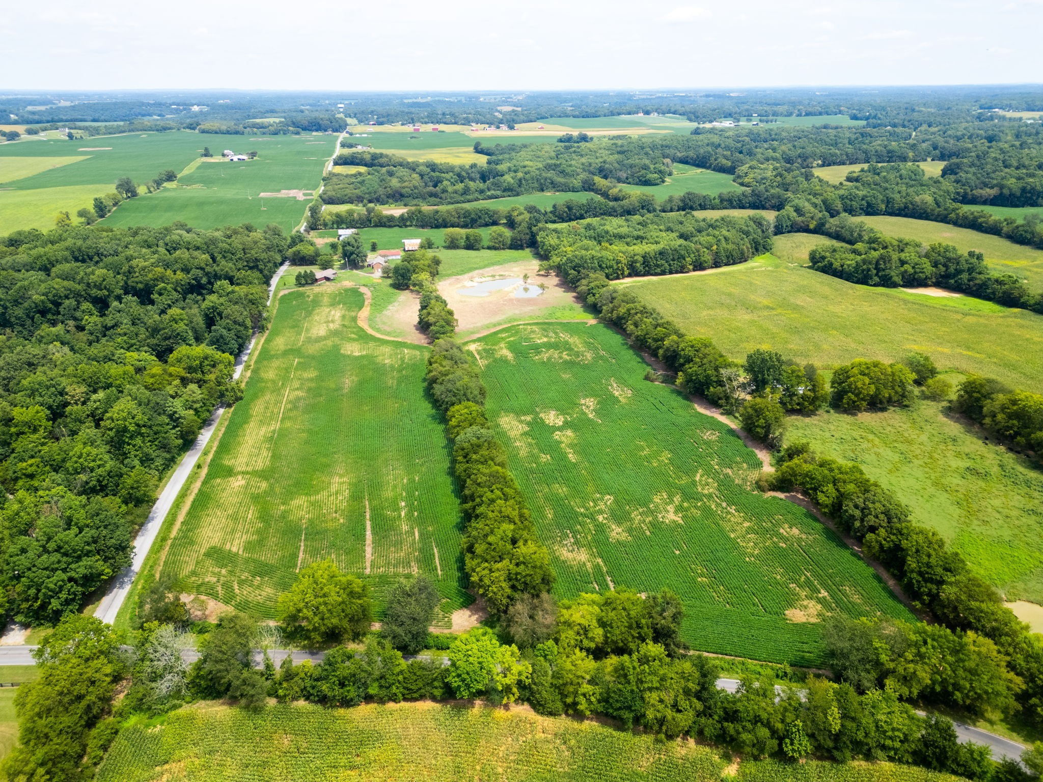 5016 Caney Sink Road Adams, TN 37010 - Photo 4 of 56