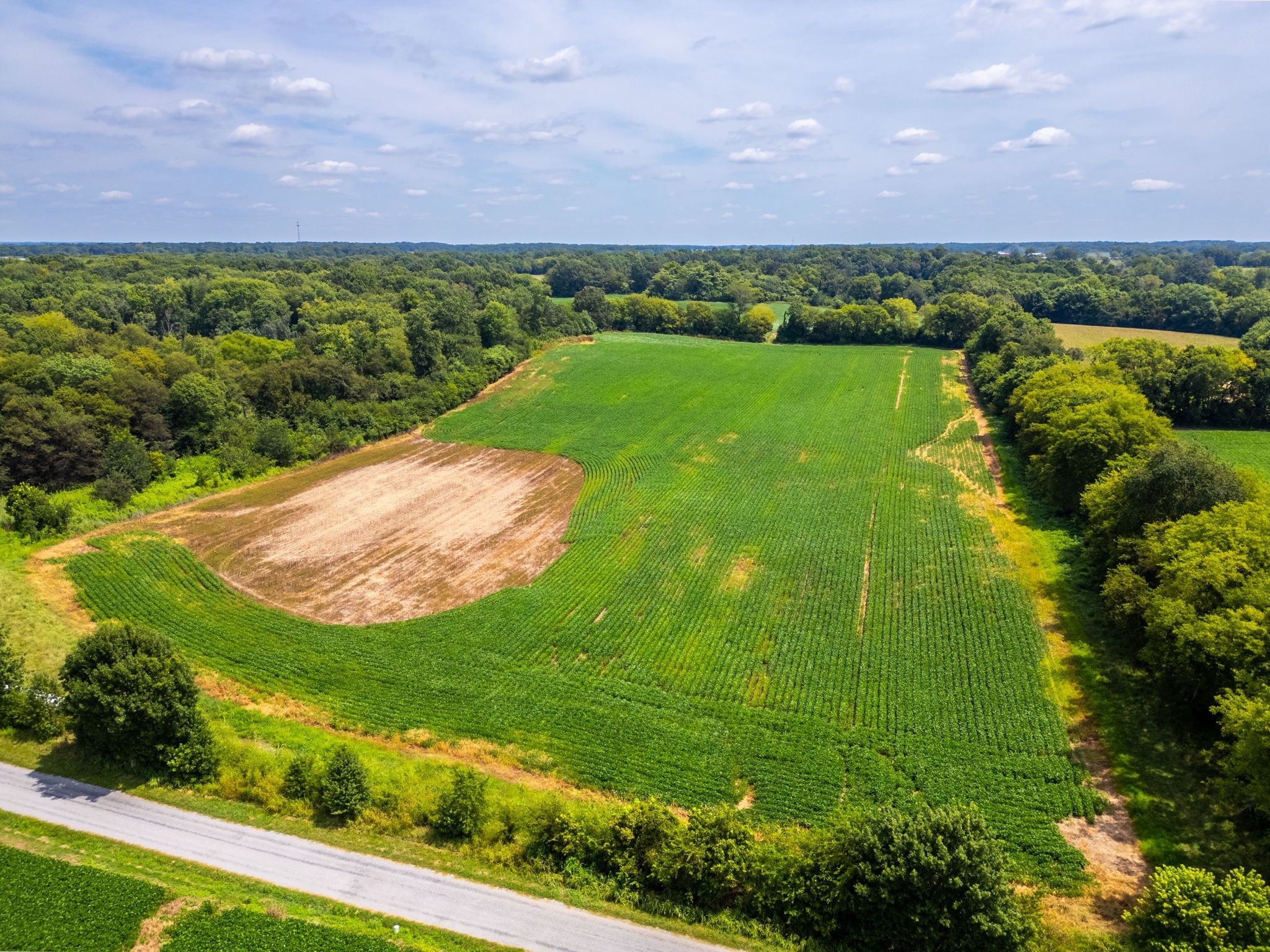 5016 Caney Sink Road Adams, TN 37010 - Photo 41 of 56