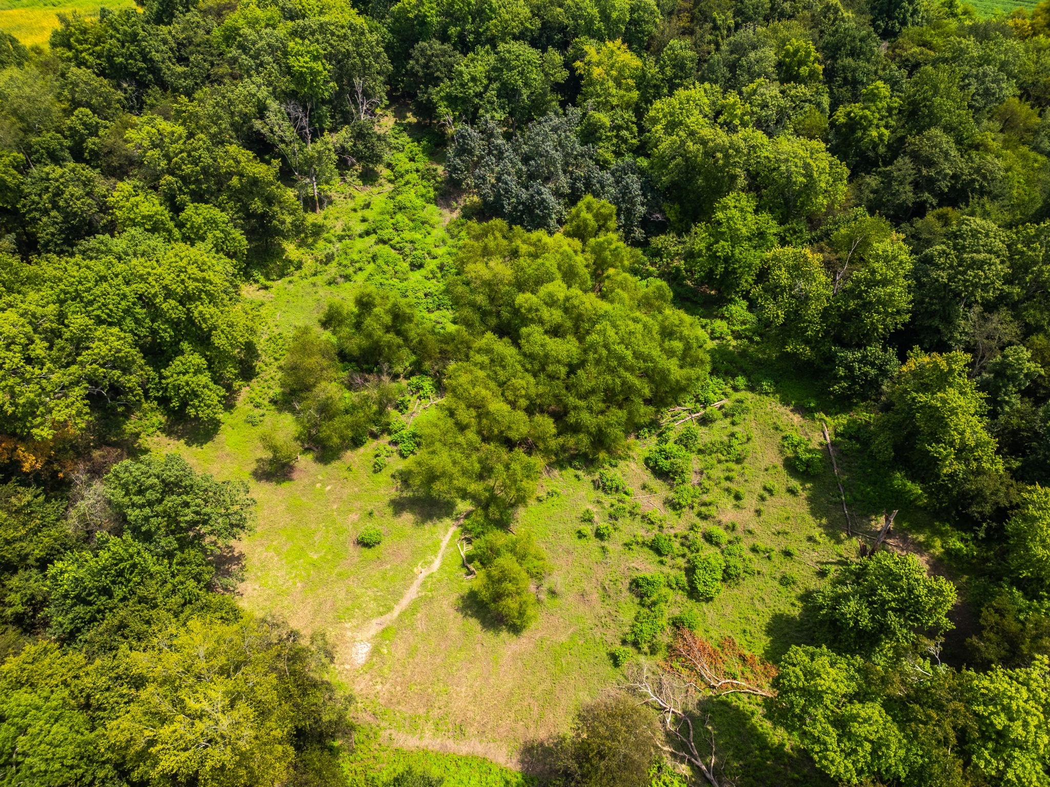 5016 Caney Sink Road Adams, TN 37010 - Photo 45 of 56
